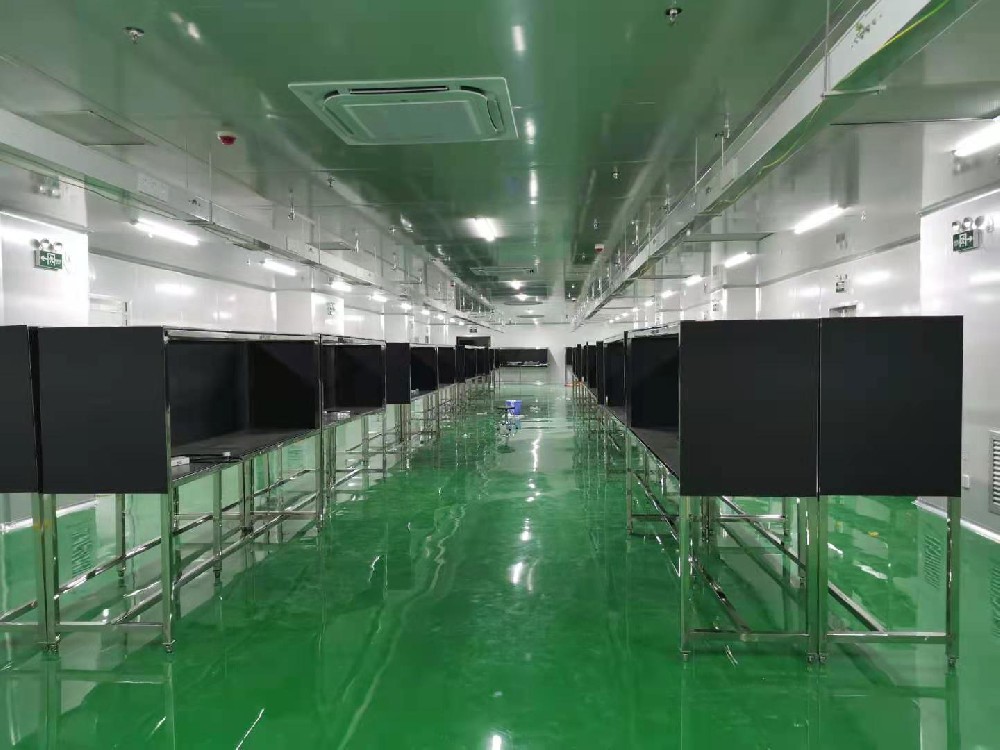 福芯光電大化廠房建成